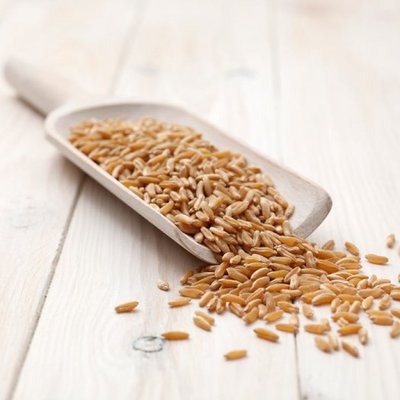 大米、雜糧與化肥 了解我們的日常主食